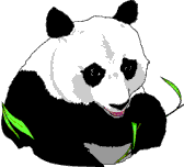 panda-bears-free-animated-gameznet 026.gif